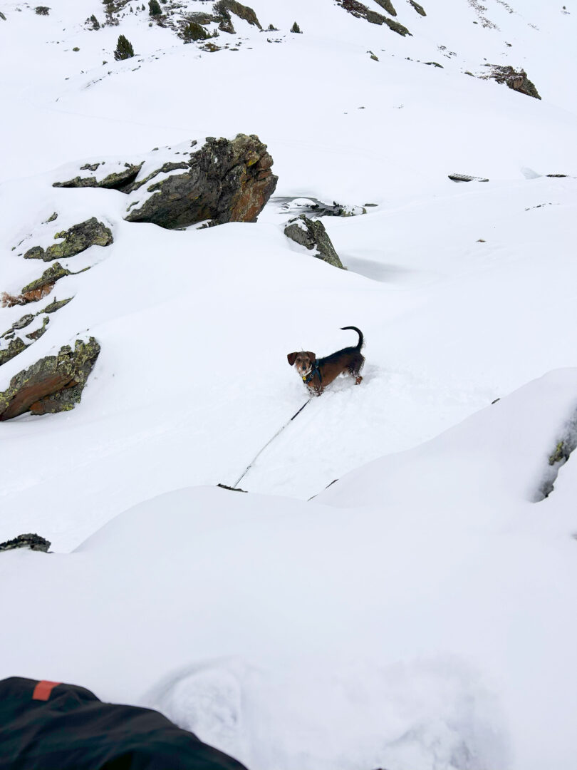 tristaina-neu-andorra